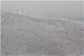 DSC_5563_resize