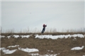 DSC_7390_resize
