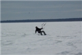 DSC_7452_resize